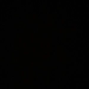 Meet your Posher, Drayke